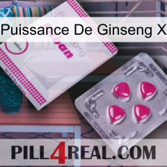 Ginseng Power X 32